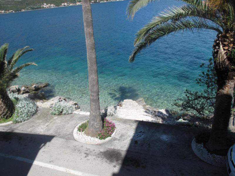 Apartments Jasmina Korčula Rom bilde